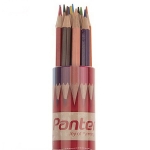مداد رنگی 12 رنگ پنتر استوانه ای سایز بزرگ